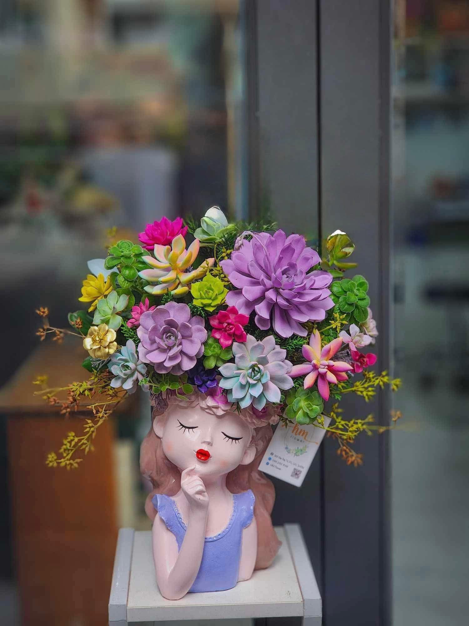 Chậu Cô gái Sen đá - Mơ Màng