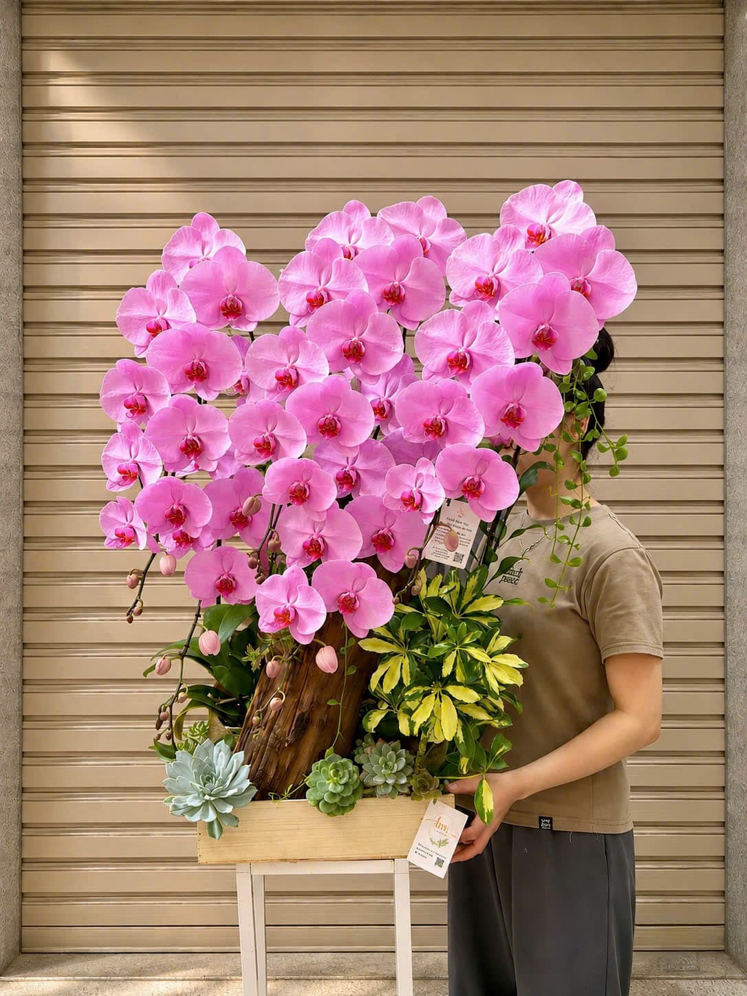 Lan hồng - sen đá - gỗ lũa